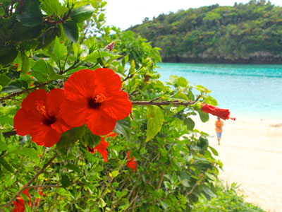 Okinawa